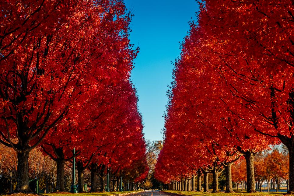 10 Things to Do in Lexington, KY Travel Channel